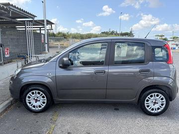 Fiat Panda 1.2 Benzina 2019-3ª Ser. City