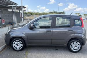 Fiat Panda 1.2 Benzina 2019-3ª Ser. City