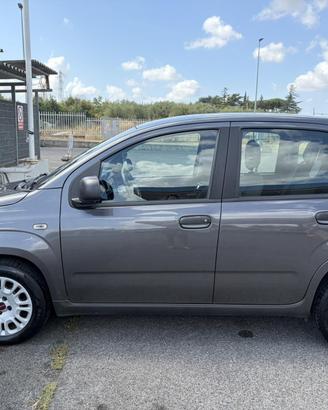 Fiat Panda 1.2 Benzina 2019-3ª Ser. City