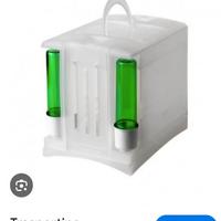 Trasportini canarini