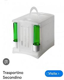 Trasportini canarini