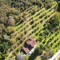 TER. AGRICOLO A CRAVANZANA