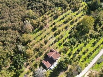 TER. AGRICOLO A CRAVANZANA