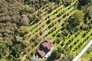 TER. AGRICOLO A CRAVANZANA