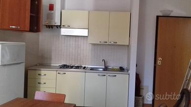 Cesena annuale ampio bilocale