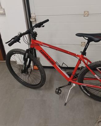 bicicletta MTB