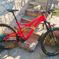 fulgur roccia 29 team edition 