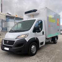 Ducato frigo