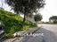 Immagine 15