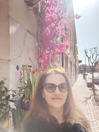 Massaggi e trattamenti shiatsu