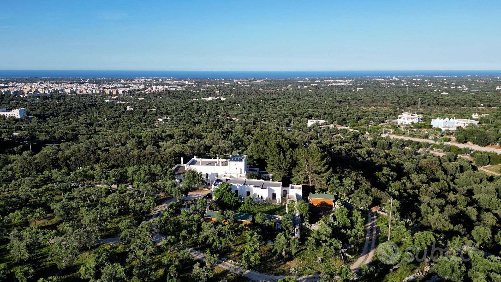 Masseria - Fasano - Vista 5