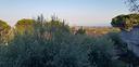 soluzioni-indipendenti-panoramiche