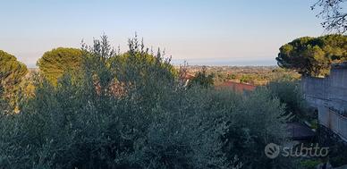 SOLUZIONI indipendenti panoramiche