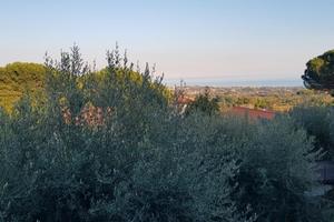 SOLUZIONI indipendenti panoramiche