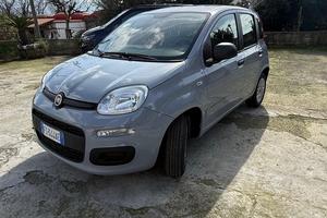 Fiat panda 2018