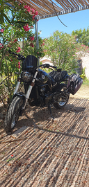 Benelli leoncino trail 500