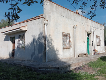 Case con terreno circostante