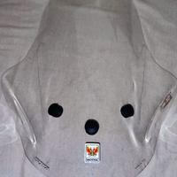 parabrezza nuovo per Sym Jet 14 Evo 200