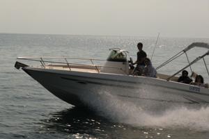 Imbarcazione Romar 700 WA con Evinrude 225 ETEC