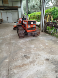Trattore Cingolato Fiat 55/65 Frutteto