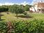 Immagine 6