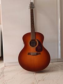 Chitarra Acustica   Seagull Entourage Mini Jumbo R