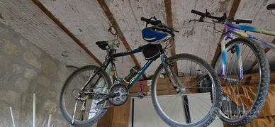 bicicletta mountain bike