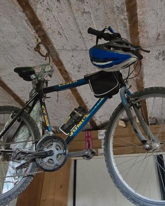 bicicletta mountain bike