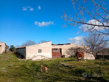 Terreno Agricolo 19.4 Ettari con Caseggiati Rurali