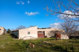 Terreno Agricolo 19.4 Ettari con Caseggiati Rurali