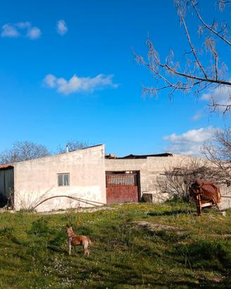 Terreno Agricolo 19.4 Ettari con Caseggiati Rurali
