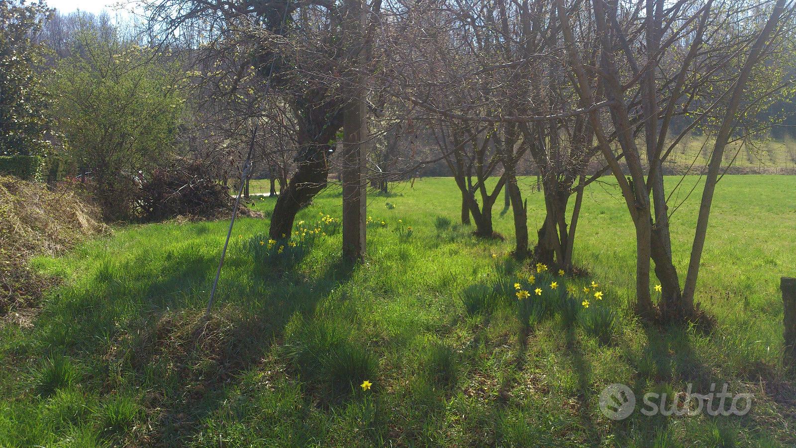 Cascina da ristrutturare - Altro