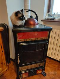 Stufa a legna Nordica Rossella