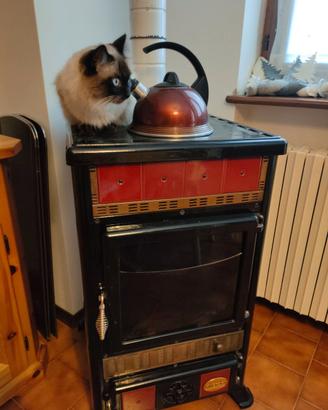 Stufa a legna Nordica Rossella