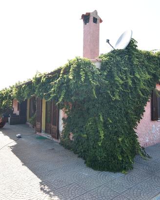 Villa con piscina circondata da giardino e ulivi
