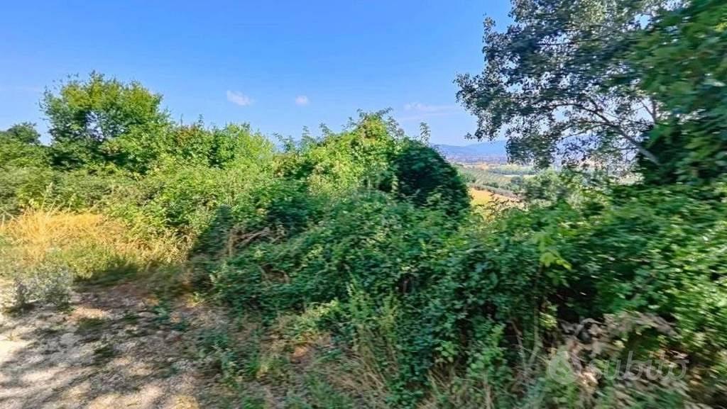 Immobile in asta di 5380 m² a Montefalco - Vista 2