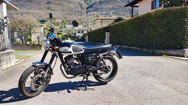 Mash Seventy Five 125