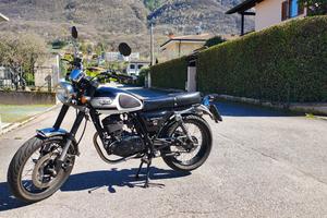 Mash Seventy Five 125