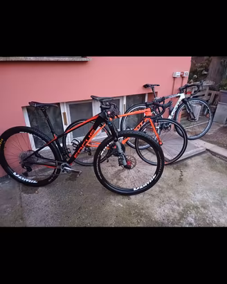 MTB+BDC+CX