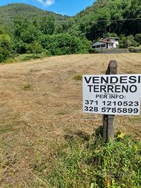 Terreno agricolo