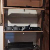 Scarpiera con specchio