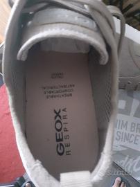 Scarpe  Geox colore beige