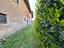 Immagine 10