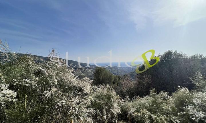 Terreno Edificabile a Vallebona