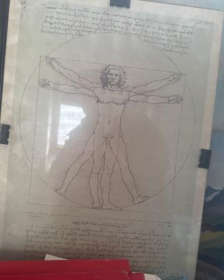 Leonardo da vinci