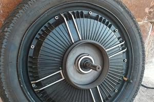 ruota posteriore motore elettrico 