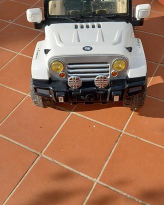 fuoristrada/macchina elettrica