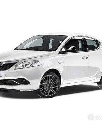 Ricambi usati Lancia ypsilon musa delta 2010 2020