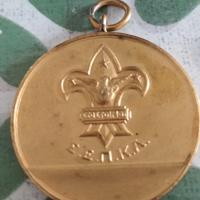 lotto medaglie sportive 