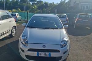 Fiat Punto 1.2 8V 5 porte Street NEOPATENTATI